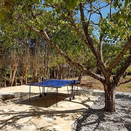 Magnolia *