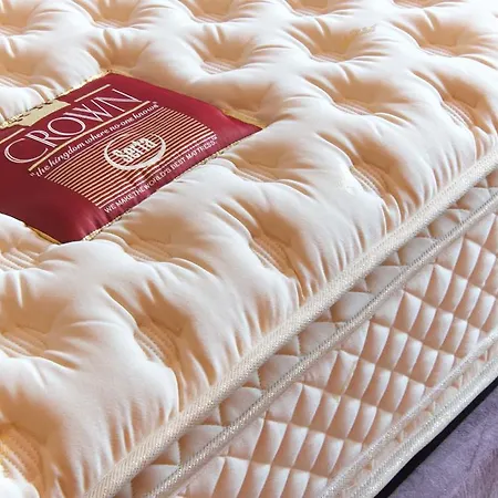 Magnolia פיסקרדו