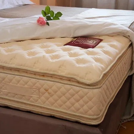 Magnolia דירה פיסקרדו