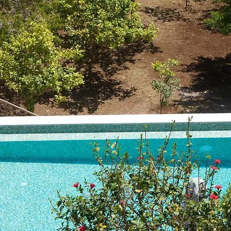 Magnolia פיסקרדו