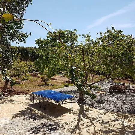 Magnolia פיסקרדו