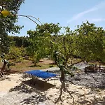 Magnolia Fiskardo