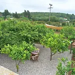 Magnolia Fiskardo