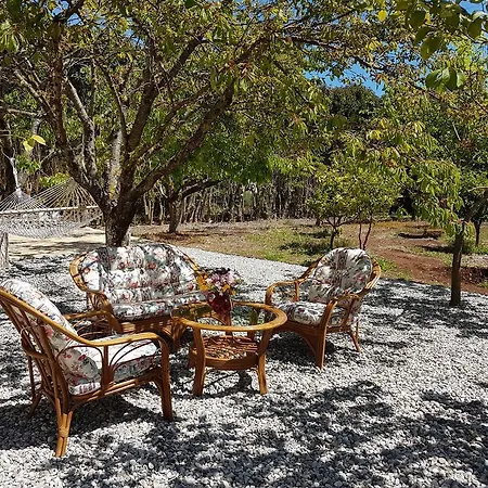 Lägenhet Magnolia *