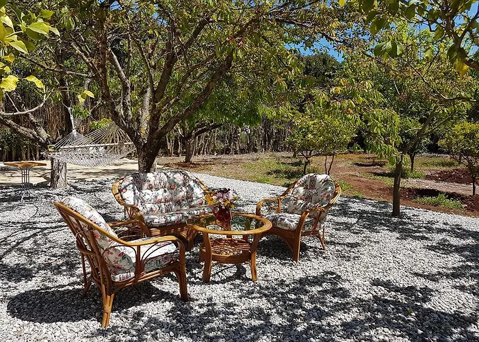 Appartement Magnolia *