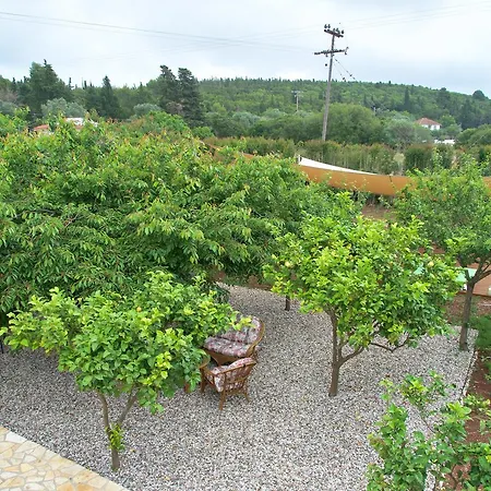 Magnolia Fiskardo